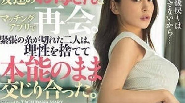 DASS-330 我很欣赏她的美丽-橘玛丽